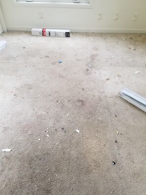 Before & After Carpet Cleaning in Charlottesville, VA (1)