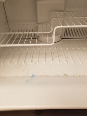 Before & After Move Out Cleaning in Charlottesville, VA (1)