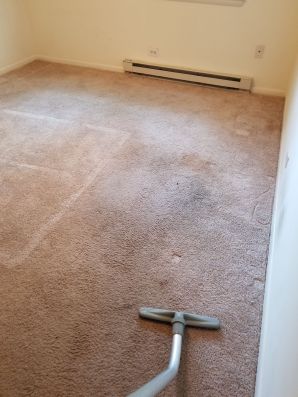 Carpet Cleaning in Charlottesville, VA (1)