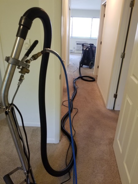 Carpet Cleaning in Charlottesville, VA (3)