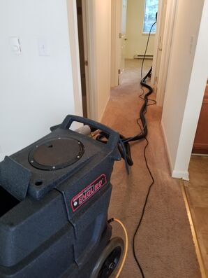 Carpet Cleaning in Charlottesville, VA (2)