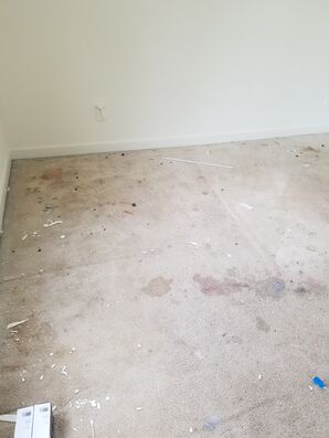 Before & After Carpet Cleaning in Charlottesville, VA (2)