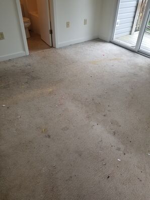 Before & After Carpet Cleaning in Charlottesville, VA (3)