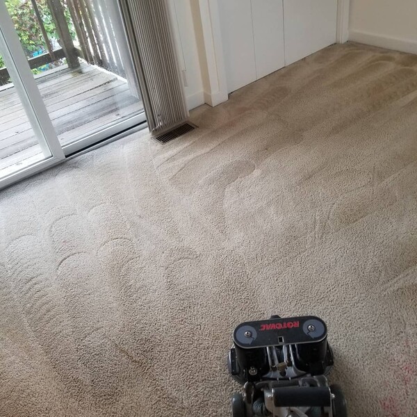 Before & After Carpet Cleaning in Charlottesville, VA (5)