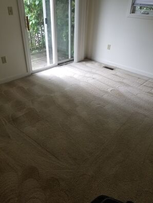 Before & After Carpet Cleaning in Charlottesville, VA (4)