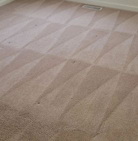 Carpet Cleaning in Palmyra, VA (1)