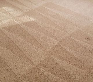 Carpet Cleaning in Palmyra, VA (2)