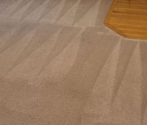 Carpet Cleaning in Palmyra, VA (3)