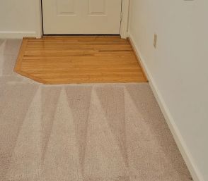 Carpet Cleaning in Palmyra, VA (4)